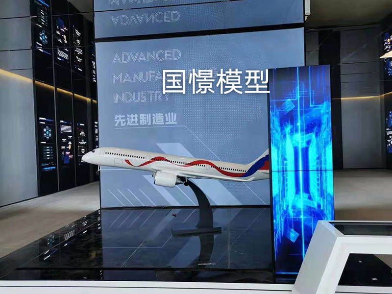 赤城县飞机模型
